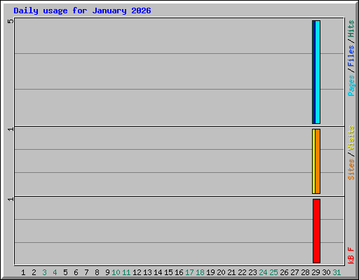 Daily usage for January 2026